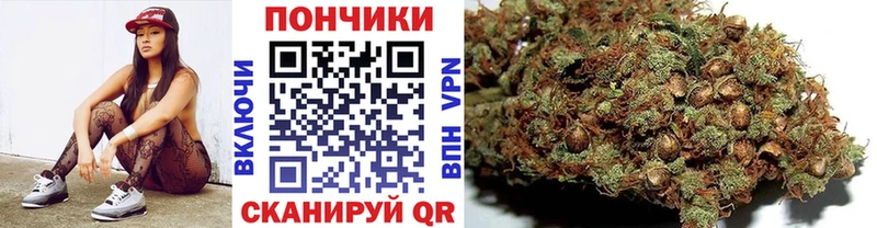 Как найти наркотики Торопец Канабис  Alpha PVP  NBOMe  Меф  Гашиш 
