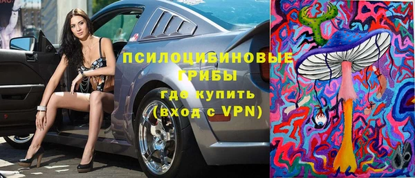 ГАЛЛЮЦИНОГЕННЫЕ ГРИБЫ Беломорск