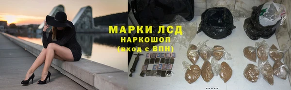 ГАЛЛЮЦИНОГЕННЫЕ ГРИБЫ Беломорск