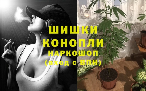 Альфа ПВП Белокуриха