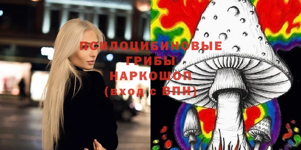 ГАЛЛЮЦИНОГЕННЫЕ ГРИБЫ Беломорск