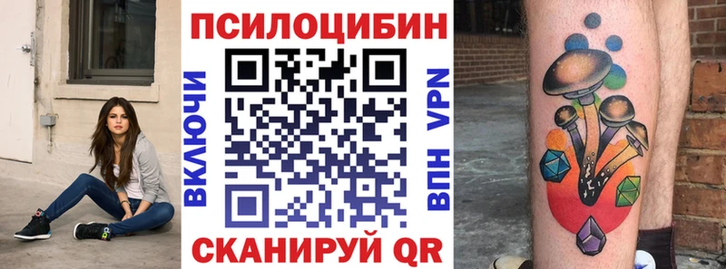 сайты даркнета как зайти  Торопец  Псилоцибиновые грибы MAGIC MUSHROOMS  продажа наркотиков 